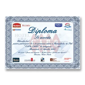 Diploma 3