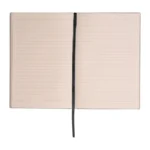 Notes Stanley negru 5