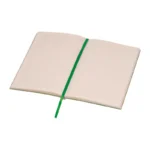 Notes Stanley verde 2